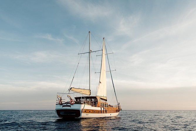 Luxury Yacht Snorkeling & Lunch Cruise from Cabo San Lucas - Practical tips for a smoother day