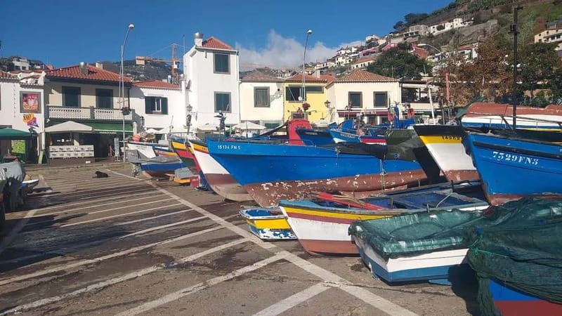 Madeira Private 4-Seater Mercedes VIP - What the guide adds to the day
