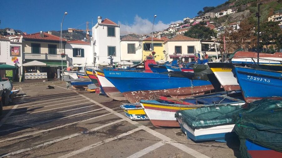 Madeira Private 4-Seater Mercedes VIP - The cruise ship question