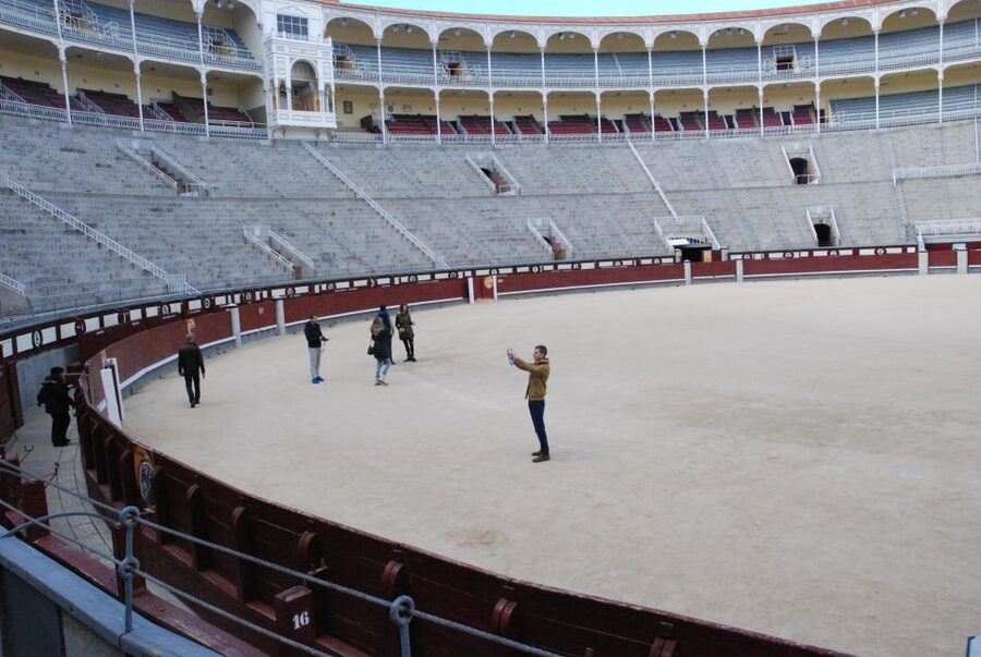Madrid: Las Ventas Bullring VIP Private Guided Tour - What the empty ring reveals