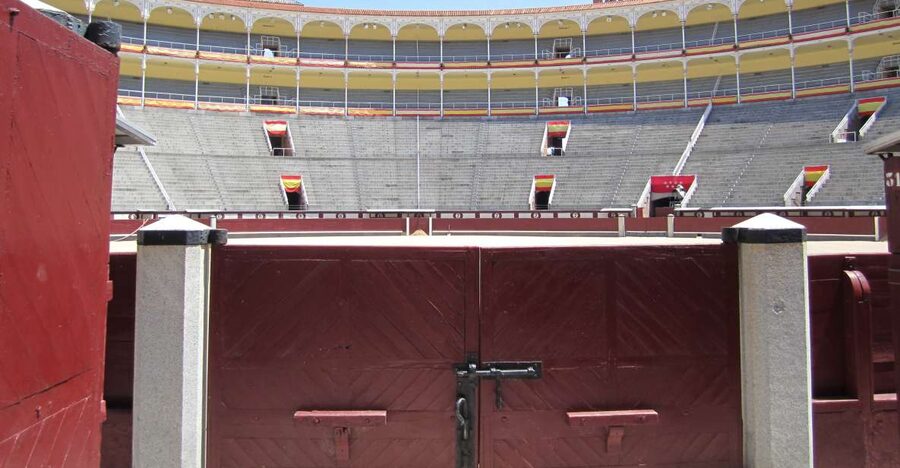 Madrid: Las Ventas Bullring VIP Private Guided Tour - Entering the arena with a private guide