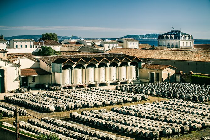 Maison Noilly Prat VIP tour, wine and vermouth tastings - Why the Cellar Matters More Than the Bottle