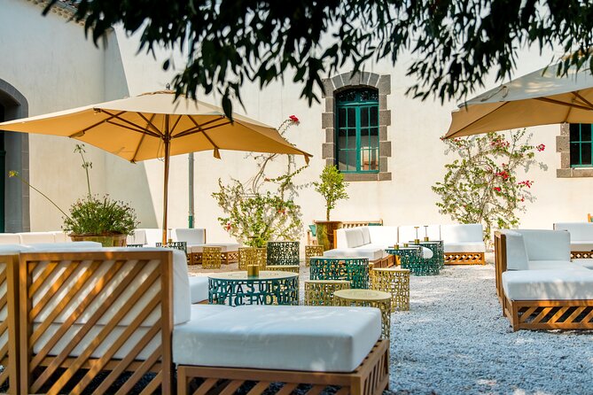 Maison Noilly Prat VIP tour, wine and vermouth tastings - How the Language Issue Affects the Visit