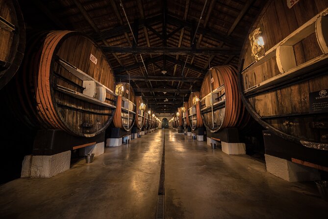 Maison Noilly Prat VIP tour, wine and vermouth tastings - Inside the Cooperage and Brand Museum
