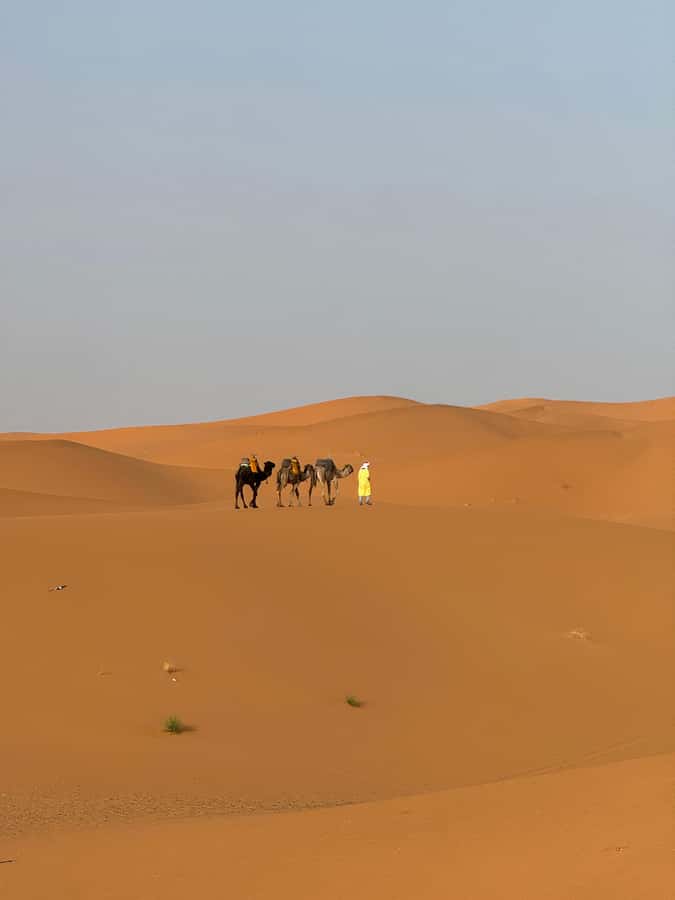 Majestic Desert: 3-Day Luxury Journey from Marrakech to Fes - How good is the $138 value?