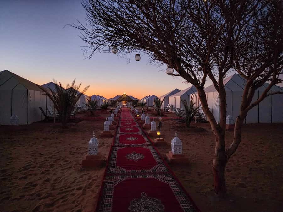 Majestic Desert: 3-Day Luxury Journey from Marrakech to Fes - Who should book this journey?