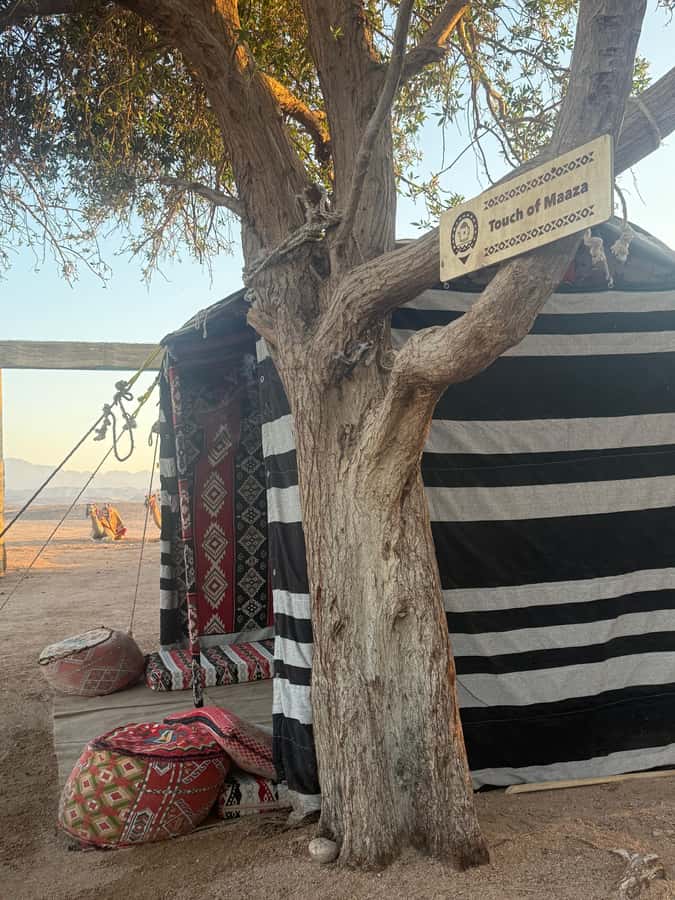Makadi Bay: BADU Luxury Bedouin Dinner Experience & Stargaze - Hotel Pickup and the Road to the Camp