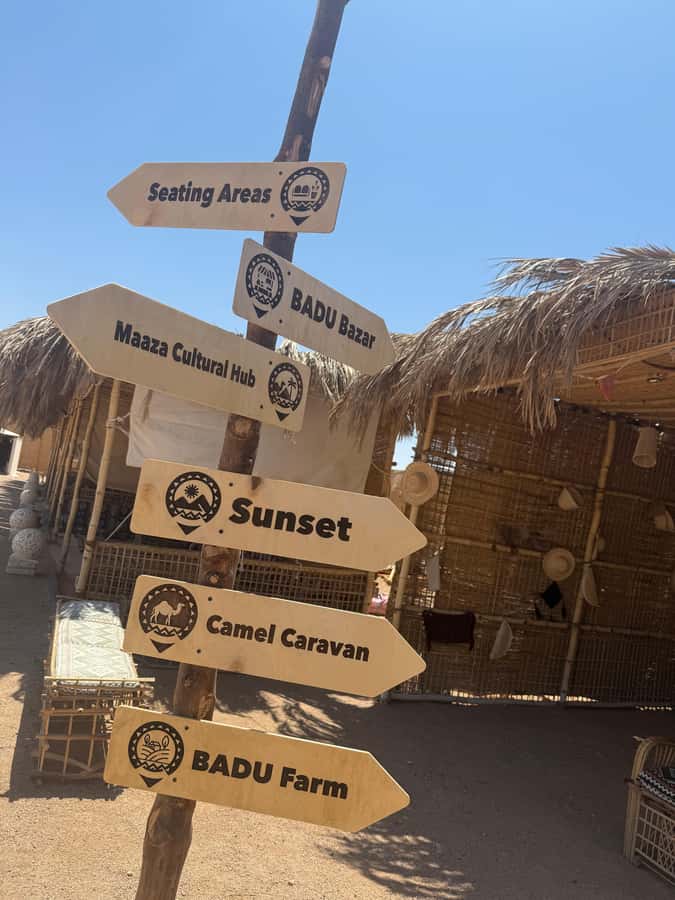 Makadi Bay: BADU Luxury Bedouin Dinner Experience & Stargaze - Stargazing With Diaa and the Desert Sky