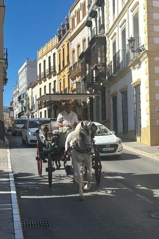 Marbella/Estep. Private VIP-Tour Ronda incl. Tapas & Drinks - Pickup from Marbella and the ride to Ronda