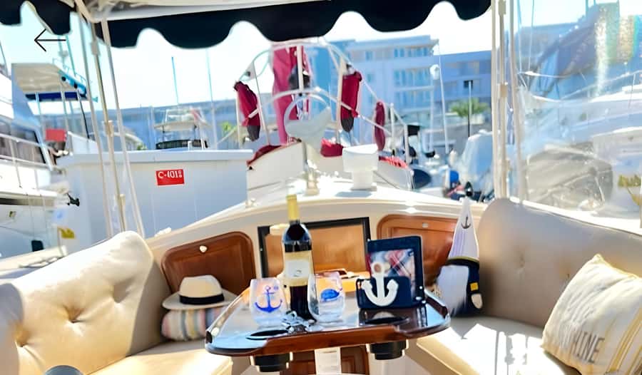 Marina Del Rey Luxury Boat Cruise Wine, Charcuterie Sealions - Captain Shaun is part of the appeal