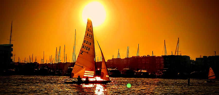 Marina Del Rey Luxury Boat Cruise Wine, Charcuterie Sealions - Wildlife, scenery, and the limits of a marina cruise