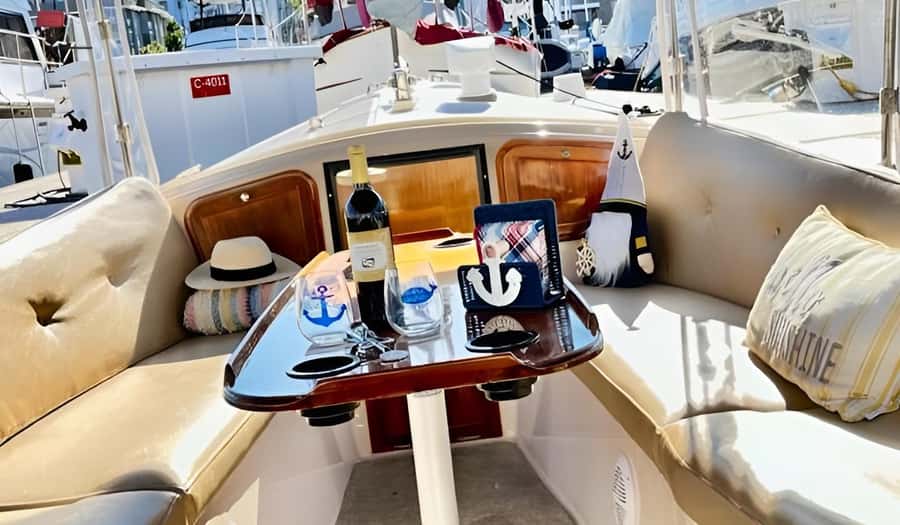 Marina Del Rey Luxury Boat Cruise Wine, Charcuterie Sealions - Celebrations that fit the boat best