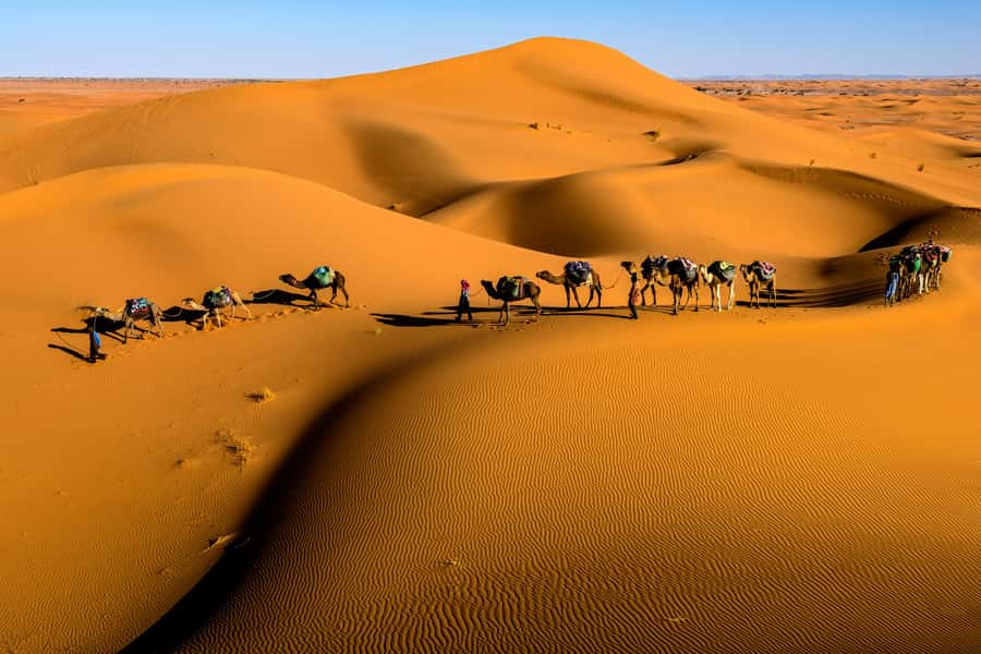 Marrakech: 3-Day Desert Trip to Merzouga with Luxury Camp - Who will enjoy this trip most