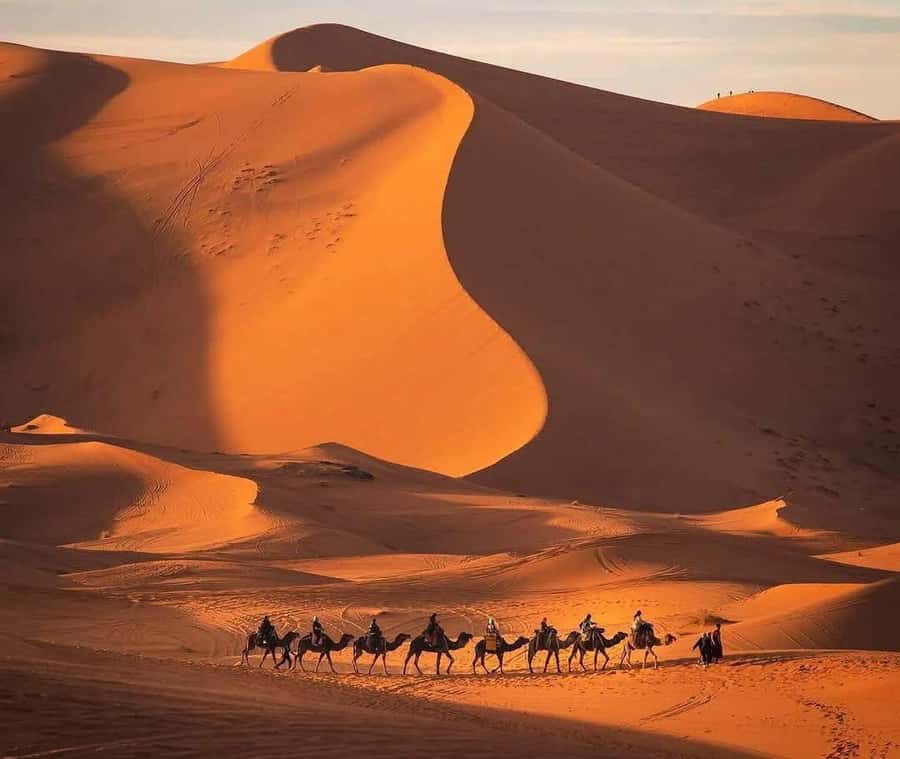 Marrakech: 3-day Exclusive Desert Luxury Tour; Quad & Camels - What Is Included for $79?