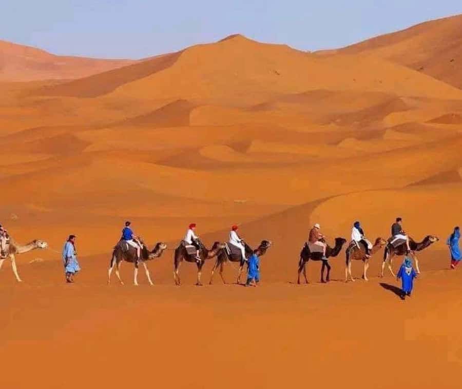 Marrakech: 3-day Exclusive Desert Luxury Tour; Quad & Camels - Who Should Book This Three-Day Tour?
