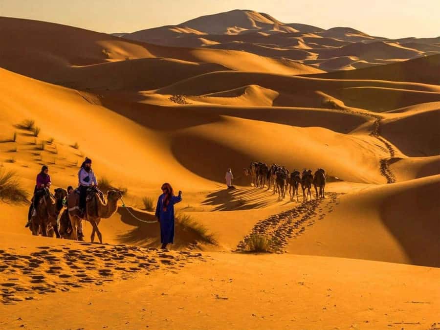 Marrakech: 4-Days Luxury Desert Tour to Fes via Merzouga - What the $345 price really buys
