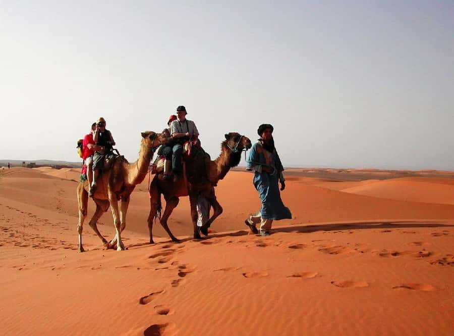 Marrakech: 4-Days Luxury Desert Tour to Fes via Merzouga - Communication, comfort, and the small print