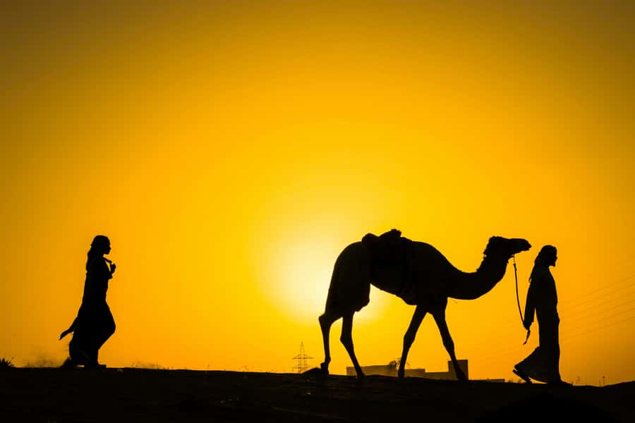 Marrakech : Agafay Desert Sunset Camel Ride & Luxury Dinner - The sunset camel ride is the evening’s visual highlight