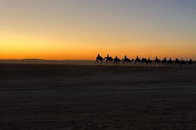 Marrakech: Camels & Quads on Sunset and Luxury Dinner with Show - Dinner under the stars, with music and fire