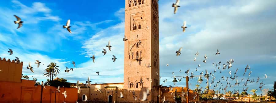 Marrakech City Tour, Private Fullday with Luxury Car - What the $198 price really buys you