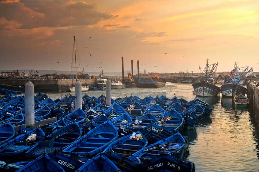 Marrakech: Essaouira Day Trip UNESCO Medina & Skala Fortress - Five things that make this Essaouira trip worth considering