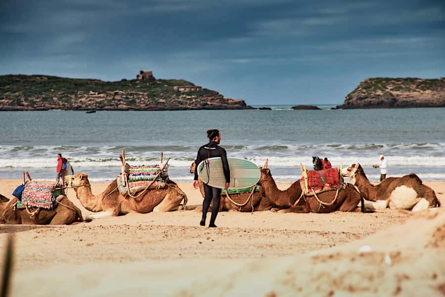 Marrakech: Essaouira Day Trip UNESCO Medina & Skala Fortress - Five hours inside Essaouira’s UNESCO medina