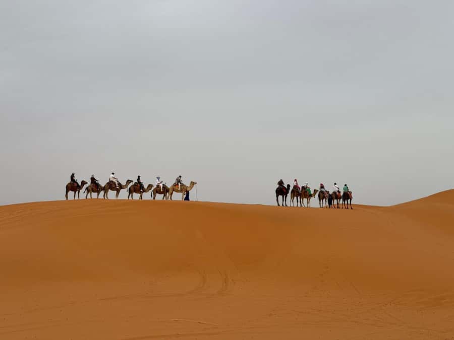 Marrakech to Fes 3-Day Sahara Desert Tour - Day 2: Todra Gorge and the road to Merzouga