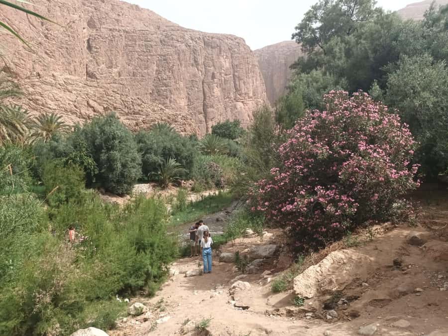Marrakech to Fes 3-Day Sahara Desert Tour - Who should book this tour?
