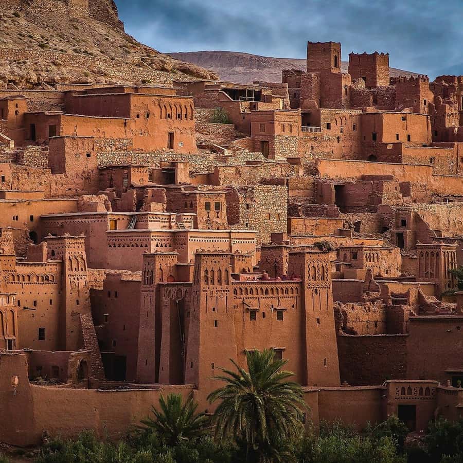 Marrakech to Zagora:2-Day Luxury Sahara Tour with Camel Ride - Who should book this desert trip