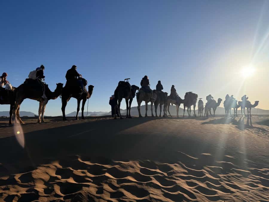 Marrakech to Zagora:2-Day Luxury Sahara Tour with Camel Ride - Leaving Marrakech for the High Atlas