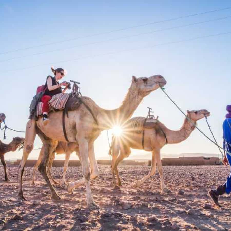 Marrakech to Zagora:2-Day Luxury Sahara Tour with Camel Ride - Sunrise, camels, and the road back