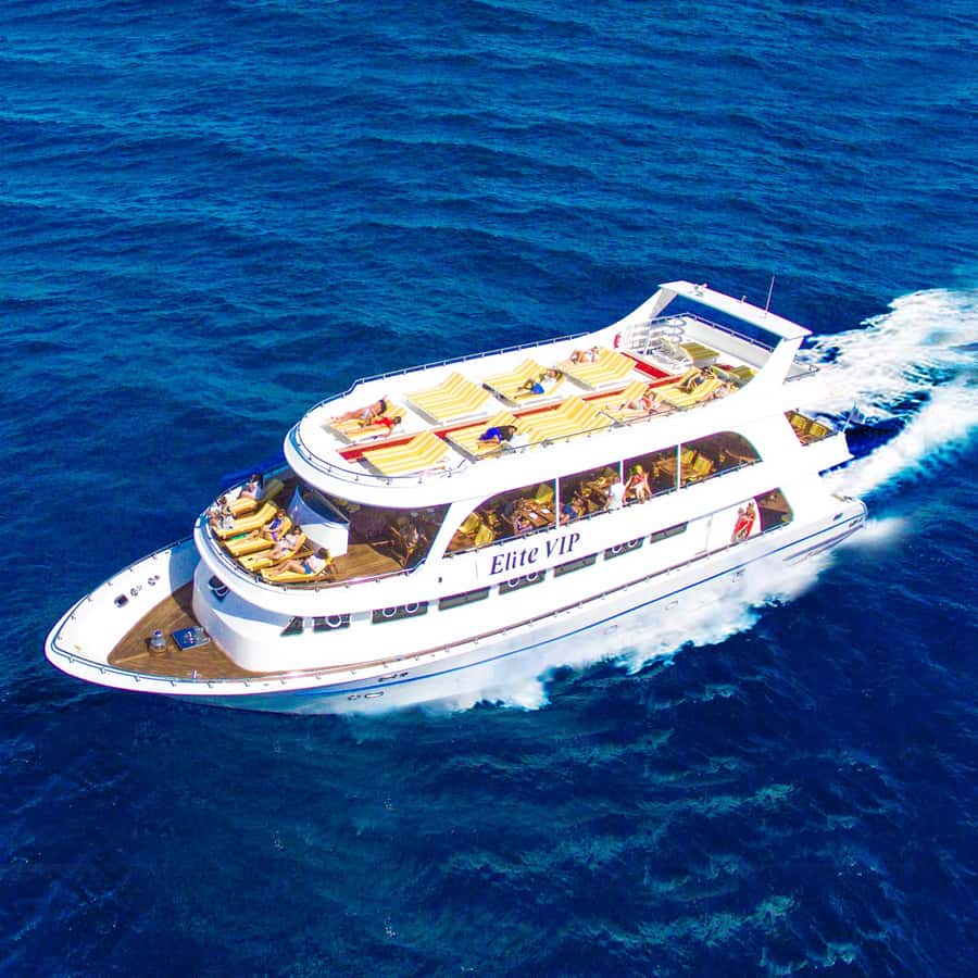Marsa Alam: Elite vip Turtle bay snorkeling with BBQ Lunch - Four decks, plenty of room, and a few quiet corners