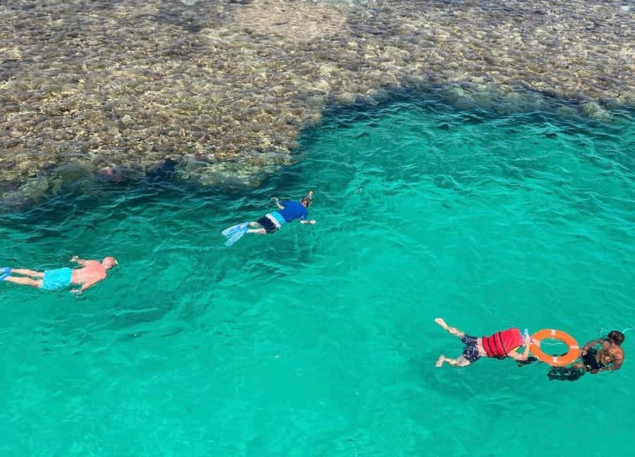 Marsa Alam: Elite vip Turtle bay snorkeling with BBQ Lunch - The second stop at Small Shenwa