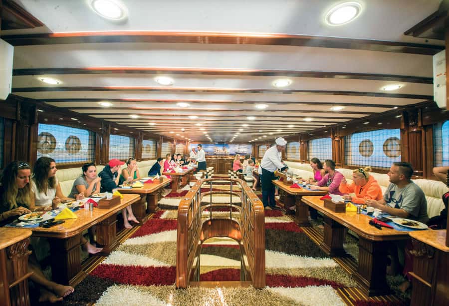 Marsa Alam: Elite vip Turtle bay snorkeling with BBQ Lunch - Guides, languages, and the feel of the service
