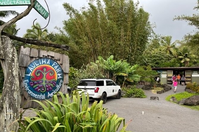 Maui by Storm: Epic Private Luxury Road to Hana Adventure Tour - Waterfalls, swimming, and the need for sensible footwear