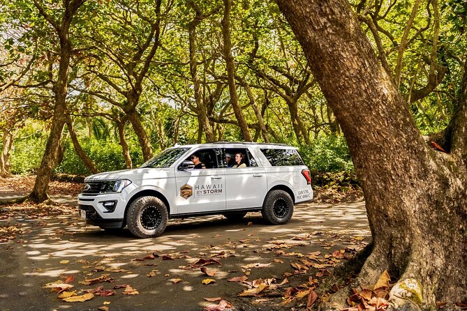 Maui by Storm: Epic Private Luxury Road to Hana Adventure Tour - Koki Beach, Huli Huli chicken, and roadside eating