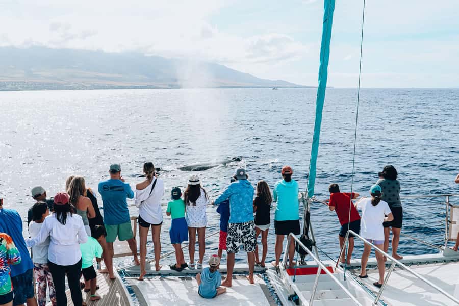 Maui: Ka'anapali Whale Watching Cruise on Luxury Sailboat - Hearing whale songs with the underwater hydrophone