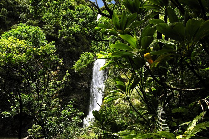 Maui: Road to Hana Luxury Limo-Van Tour with Helicopter Flight - Waterfalls, pools, and the road into Hana