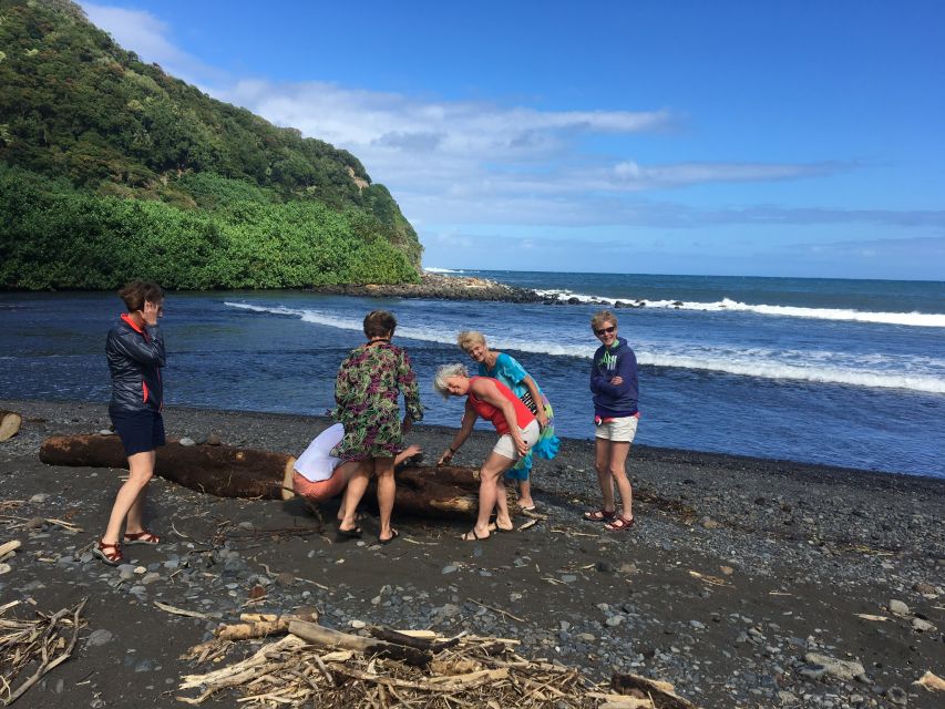 Maui: Road to Hana Private Adventure Tour with Luxury SUV - What the private SUV adds to the experience
