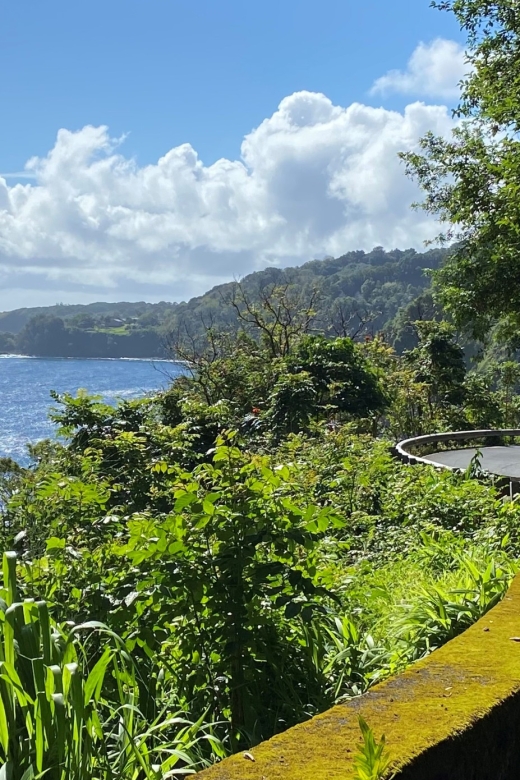 Maui: Road to Hana Private Adventure Tour with Luxury SUV - Pua’a Ka’a Falls and the return along the north coast