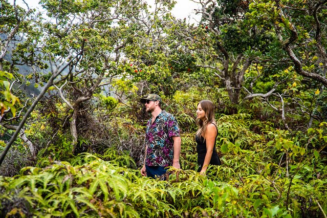 Maui: VIP Private Road to Hana Tour with Pick Up - Upper Waikani Falls rewards a short stop