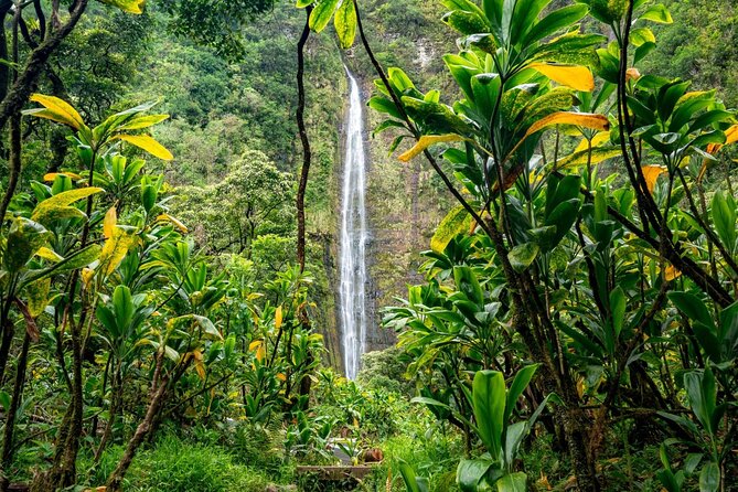 Maui: VIP Private Road to Hana Tour with Pick Up - Hana town is for slowing down, not checking a box