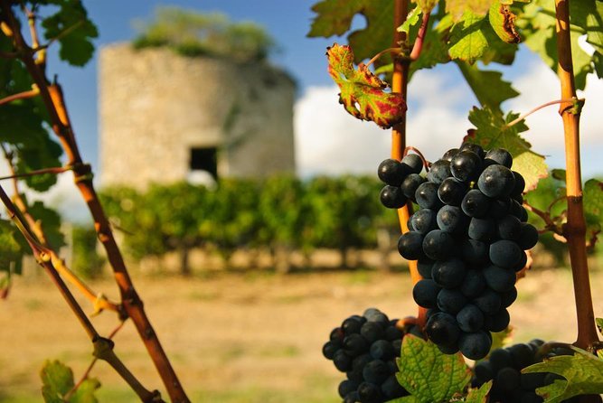 Médoc luxury wine tour aboard a Citroën DS Limousine Convertible - Key points to know before booking