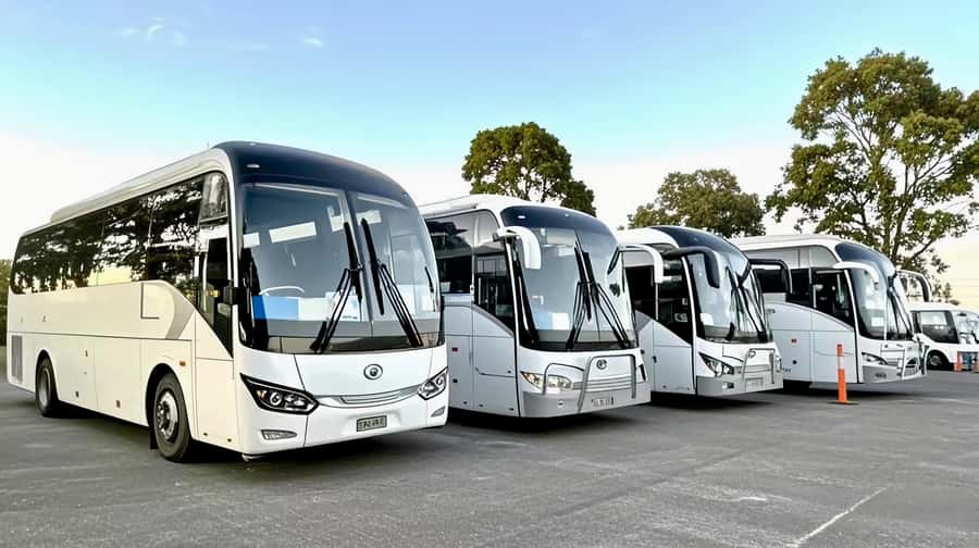 Melbourne Great Ocean Road Benz SmallGroup&LuxCoach BigGroup - Why the reverse route matters on the Great Ocean Road
