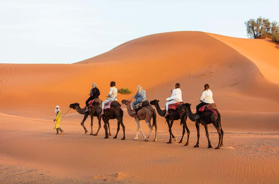 Merzouga: 1-Night in the luxury camp. camel ride & Dinner - Sandboarding and sunset on the dunes