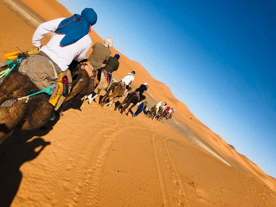 Merzouga: 1-Night in the luxury camp. camel ride & Dinner - What the $79 price really buys you