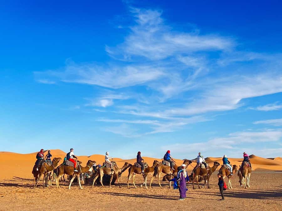 Merzouga: Overnight in Luxury camp with camels dinner - Who will enjoy this desert night most