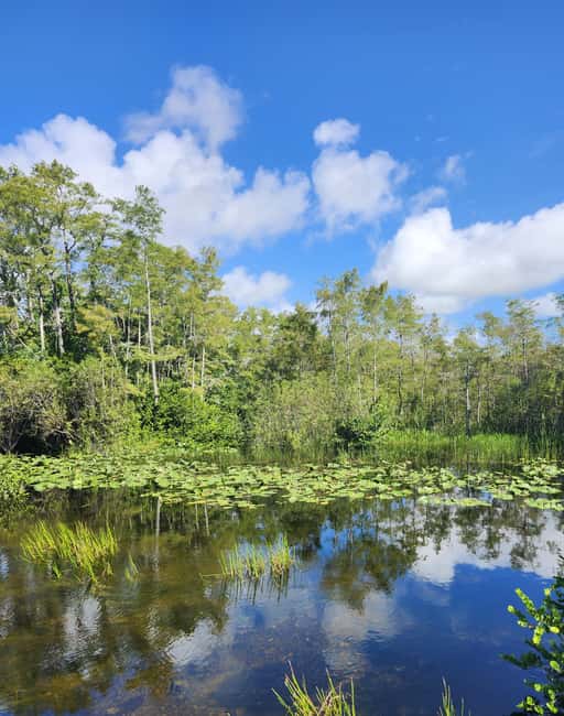 Miami: Everglades Airboat Eco Tour w/ Luxury Transportation - Why this Miami Everglades tour works well