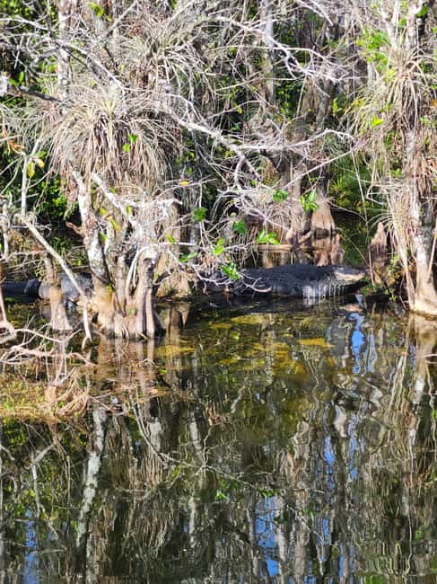 Miami: Everglades Airboat Eco Tour w/ Luxury Transportation - Weather, drought, and changing park locations