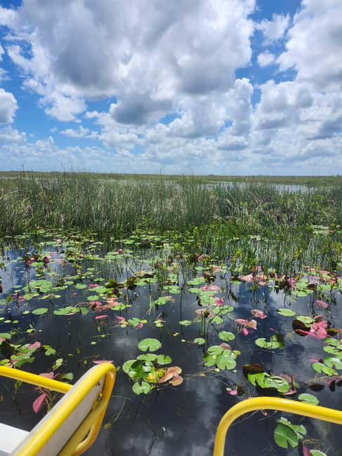 Miami: Everglades Airboat Eco Tour w/ Luxury Transportation - From Miami to the River of Grass